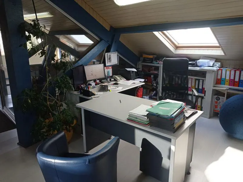 Bureau BORDEAUX TERMITES à BORDEAUX Traitement charpente et traitement bois contre les insectes à larves xylophages comme le capricorne des maisons, la petite vrillette, la grosse vrillette, le lyctus, l'hespérophane...