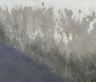 assèchemant des murs bordeaux termites