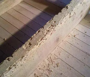 Traitement charpente à Langon - bordeaux termites lutte contre les insectes à larves xylophages sur le Langonais: Langon, toulenne, sauternes, fargues, saint-macaire, caudrot, castets-en-dorthe, sainnt-maixant, verdelais, léognan, martillac, haux, targon, frontenac, cleyrac, cazaugitat, dieulivol, le puy, monségur, saint-martin-de-lerm, camiran, saint-sulpice-de-pommiers, gornac, baigneaux, coirac, capian, soulignac, escoussans, saint-pierre-de-bat, mourens, langoiran, podensac, beguey, cérons, loupiac, barsac, preignac, fargues, caudrot, barie, floudès, la réole, fontet, saint-vivien-de-monségur, fossès-et-baleyssac, Saint-michel-de-lapujade, mongauzy, fontret, savignac, auros, cazats, aillas, labescau, sigalens, cocumont, romestaing, masseilles, grignols, manrions, birac, sauviac, bazas, cudos, pompéjac, lignan-de-bazas, Aubiac, le nizan, roillan, noaillan, villandraut, préchac, saint-symphorien, balizac, ongne, louchats, guillos, landiras, cabanac-et-villagrains, saint-michel-de-rieufret, saint-morillon, saint-selve, la brède, saucats…