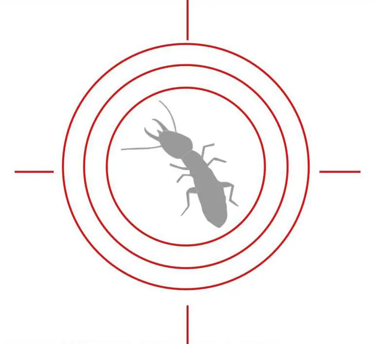 Traitement termites préventif, curatif, par pièges, pré-construction à Langon, toulenne, sauternes, fargues, saint-macaire, caudrot, castets, bazas... Secteur LANGONAIS en GIRONDE 33
