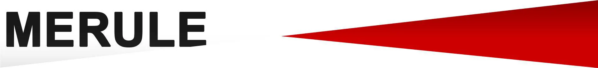 séparateur mérule-Traitement mérules- Traitement anti-mérule et autres champignons lignivores - parasites du bois - mangeurs de cellulose du bois - xylophage