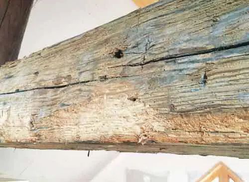 Traitement charpente phase de nettoyage de chantier des surfaces du bois pour un traitement des bois optimal contre les insectes xylophages