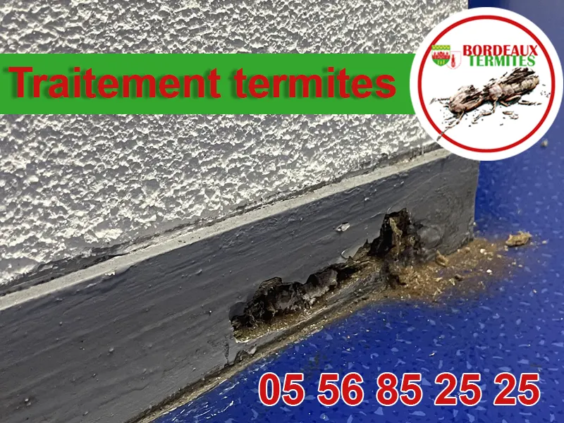 traitement termites